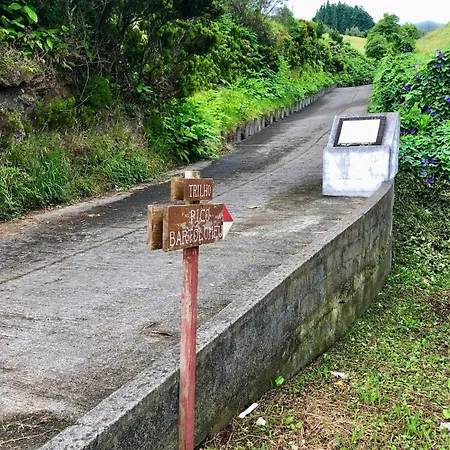 Xamine * Faial da Terra