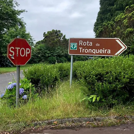 Xamine Faial da Terra