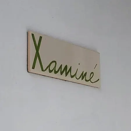 Xaminé