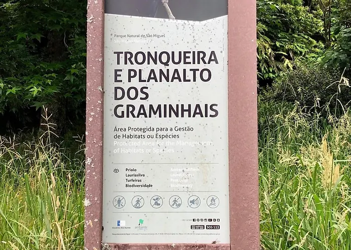 Xaminé Agua Retorta