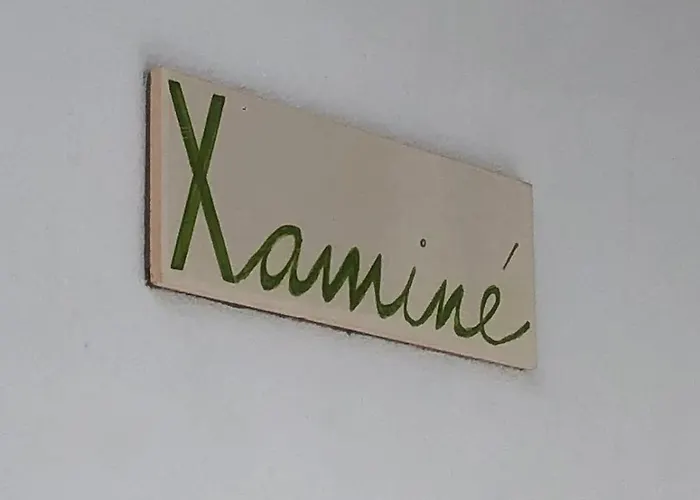 Xaminé